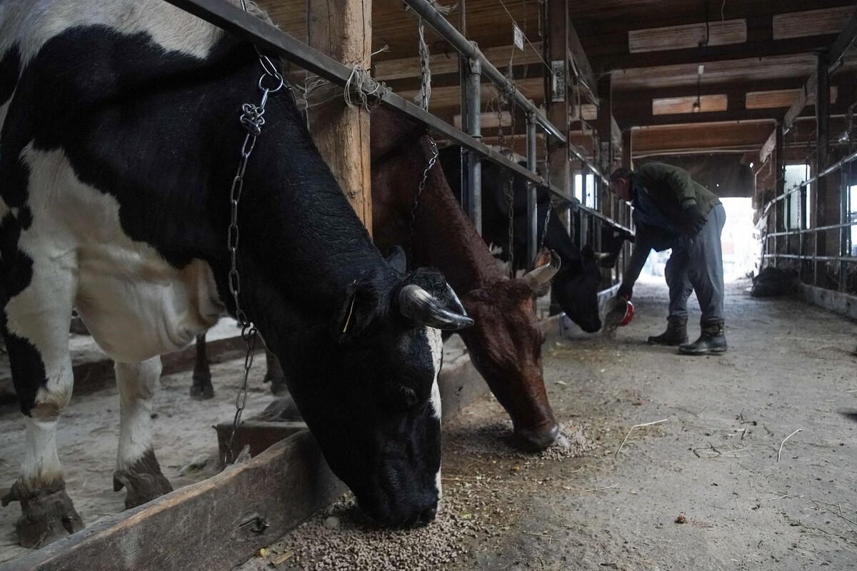     / Источник: © ИЗВЕСТИЯ/Эдуард Корниенко