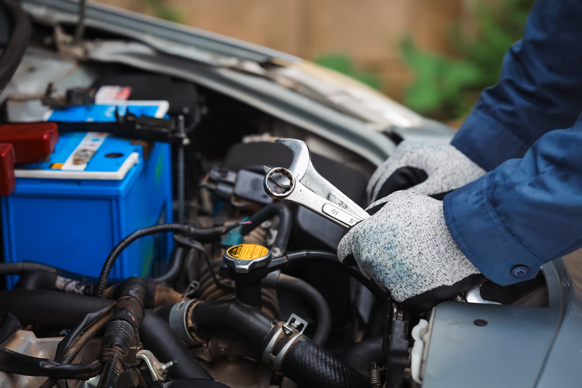    Фото: Teerapong mahawan / Shutterstock.com