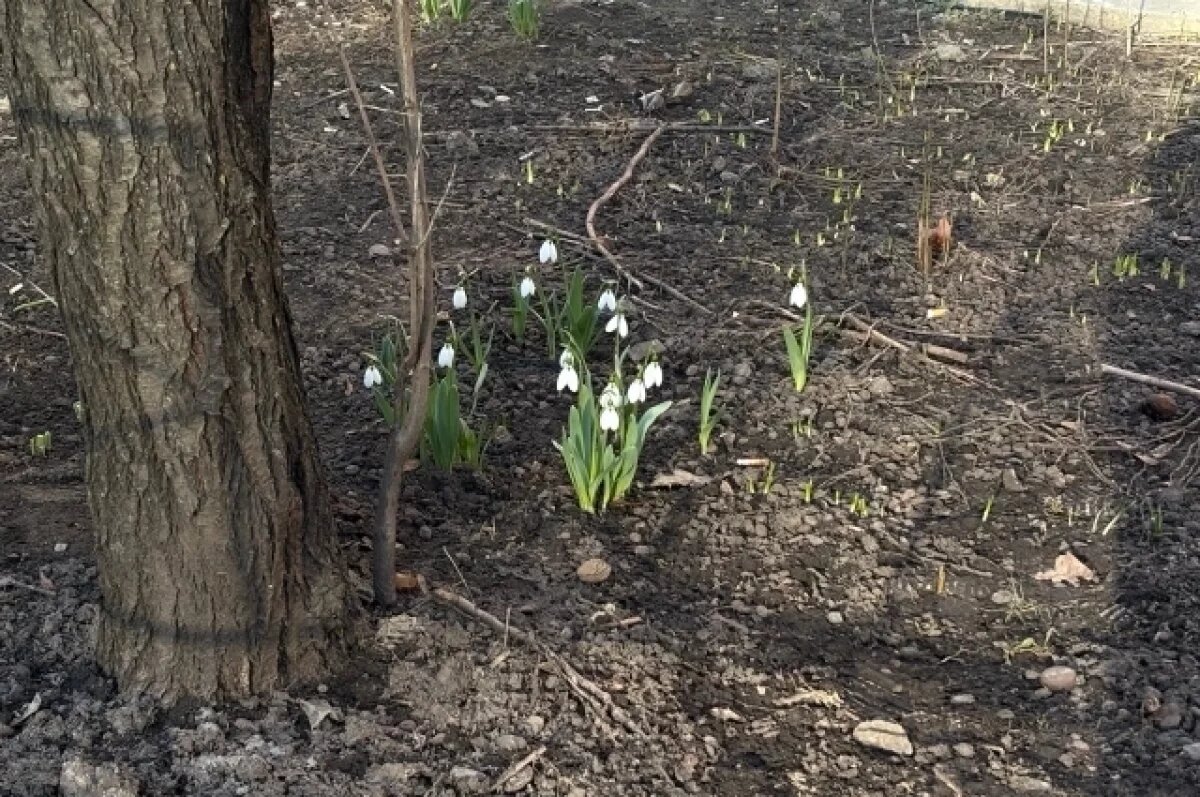    На Южный Урал надвигается аномальное тепло