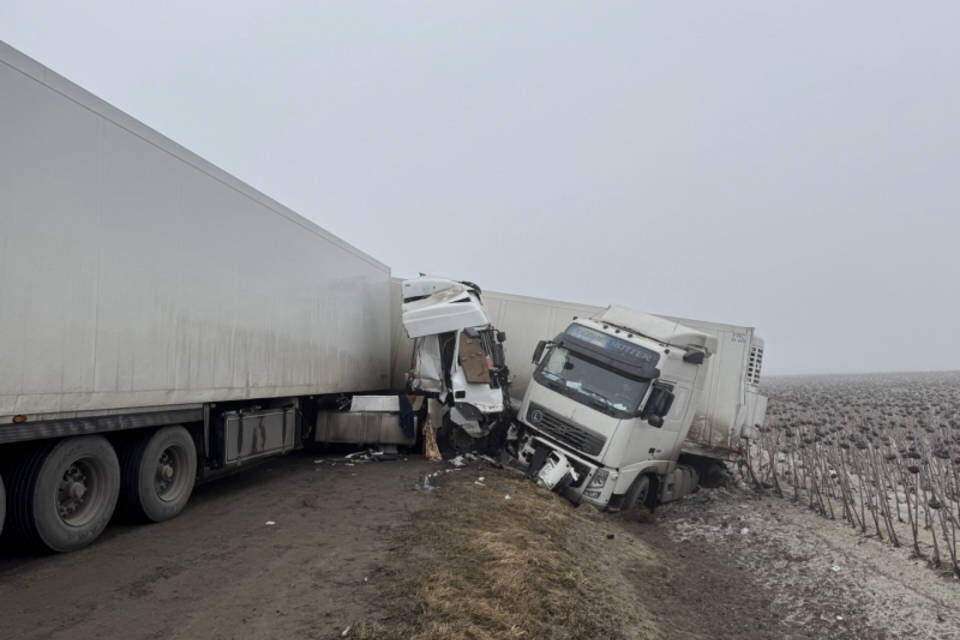    Фото: ГУ МВД России по Рязанской области