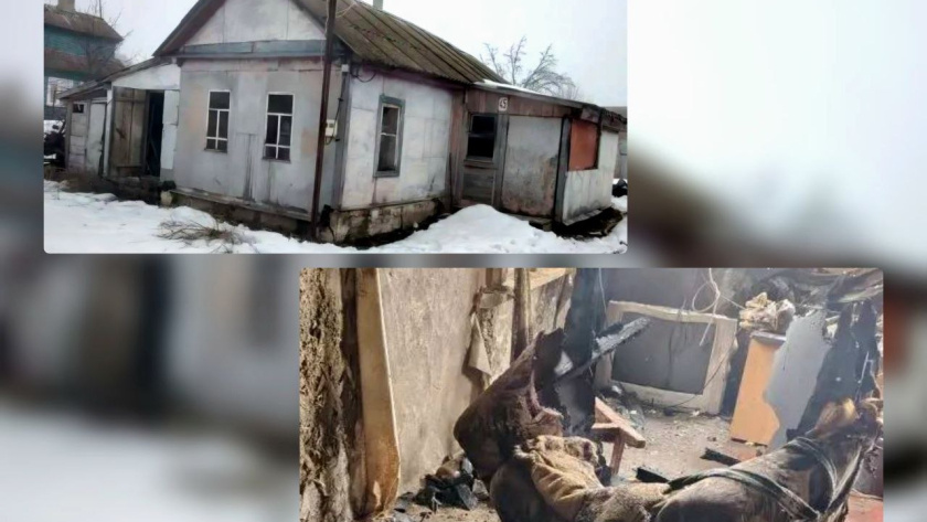    СУ СК России по Тамбовской области