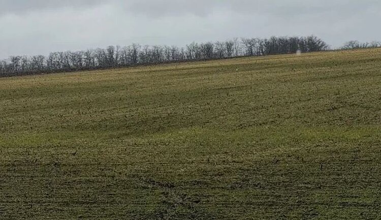    Фото: Служба по связям с общественностью филиала «Донецкий» Российского сельскохозяйственного центра