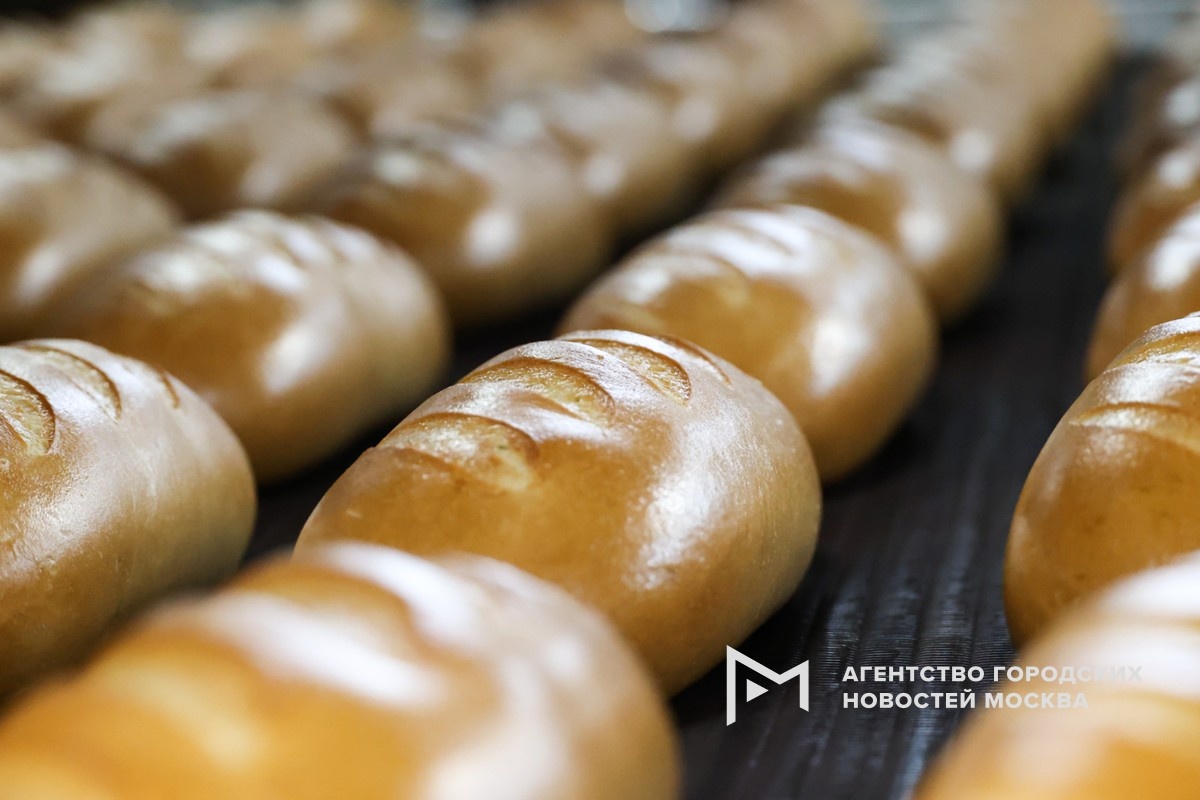 Фотограф: Ярослав Чингаев