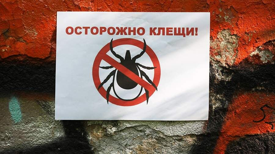    Фото: ИЗВЕСТИЯ/Юлия Храмцова