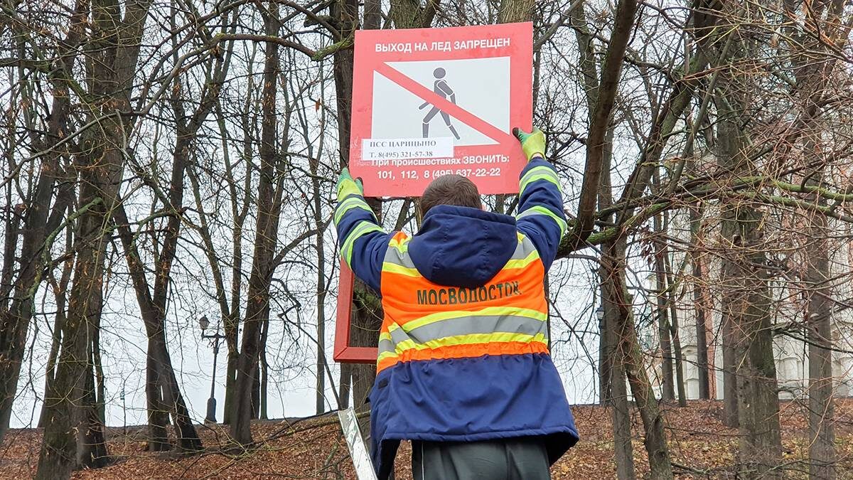    Фото: Мобильный репортер / АГН Москва