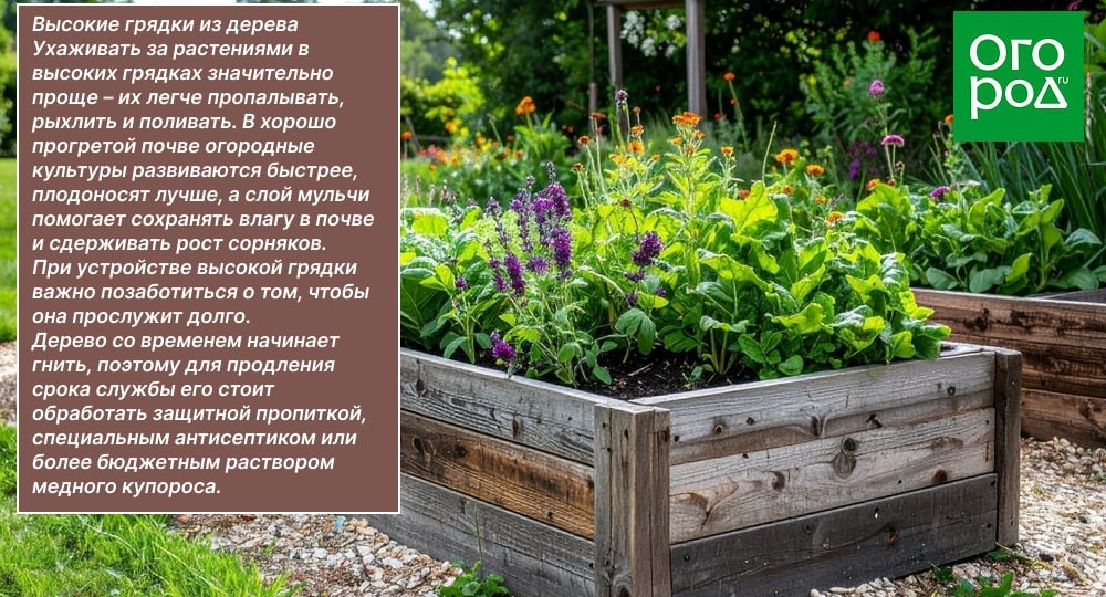 Декоративный огород, спроектированный с фантазией и творческим подходом, не только обеспечит семью овощами и ароматной зеленью, но и станет