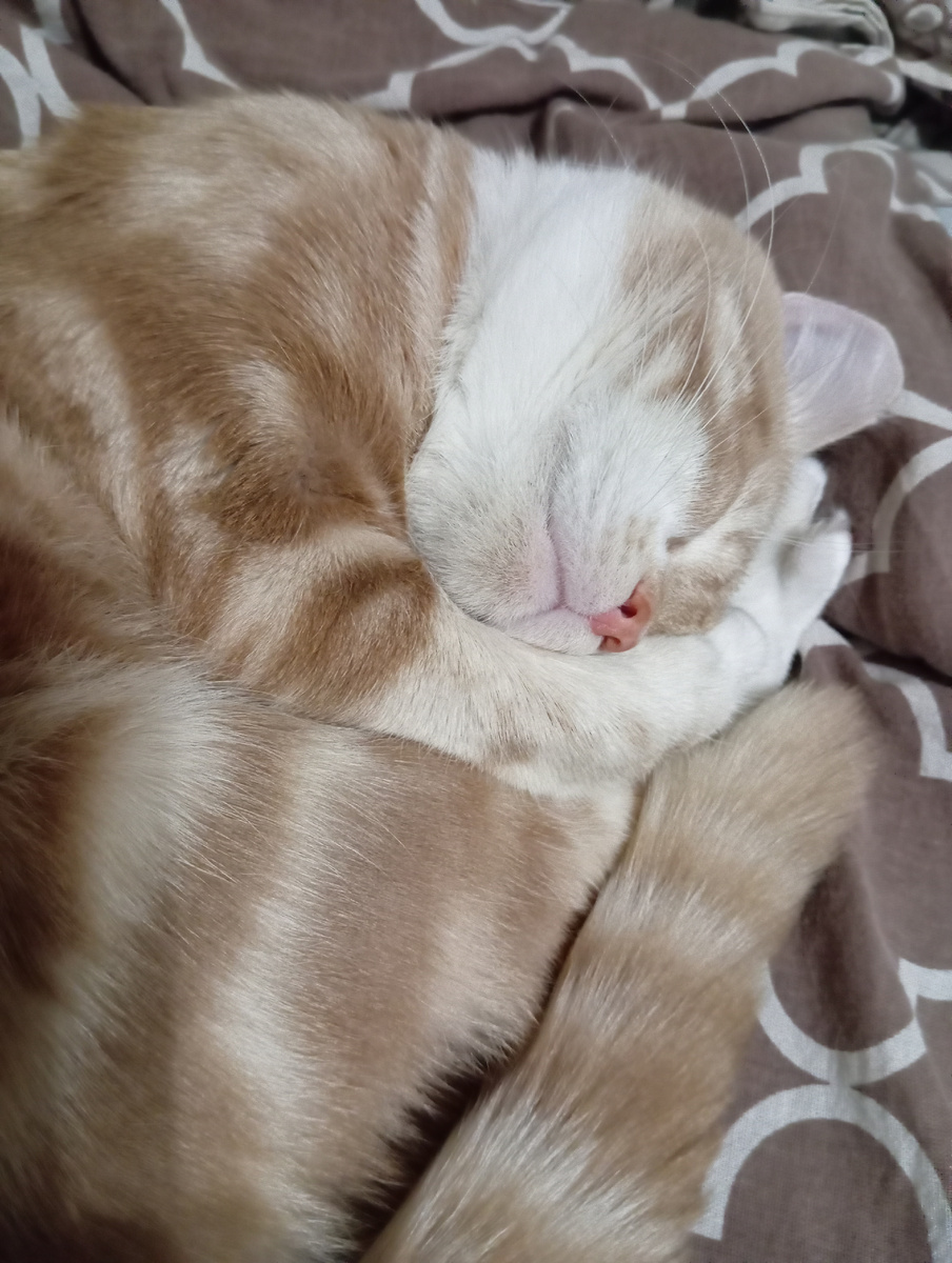 Завидую я ему,ей богу