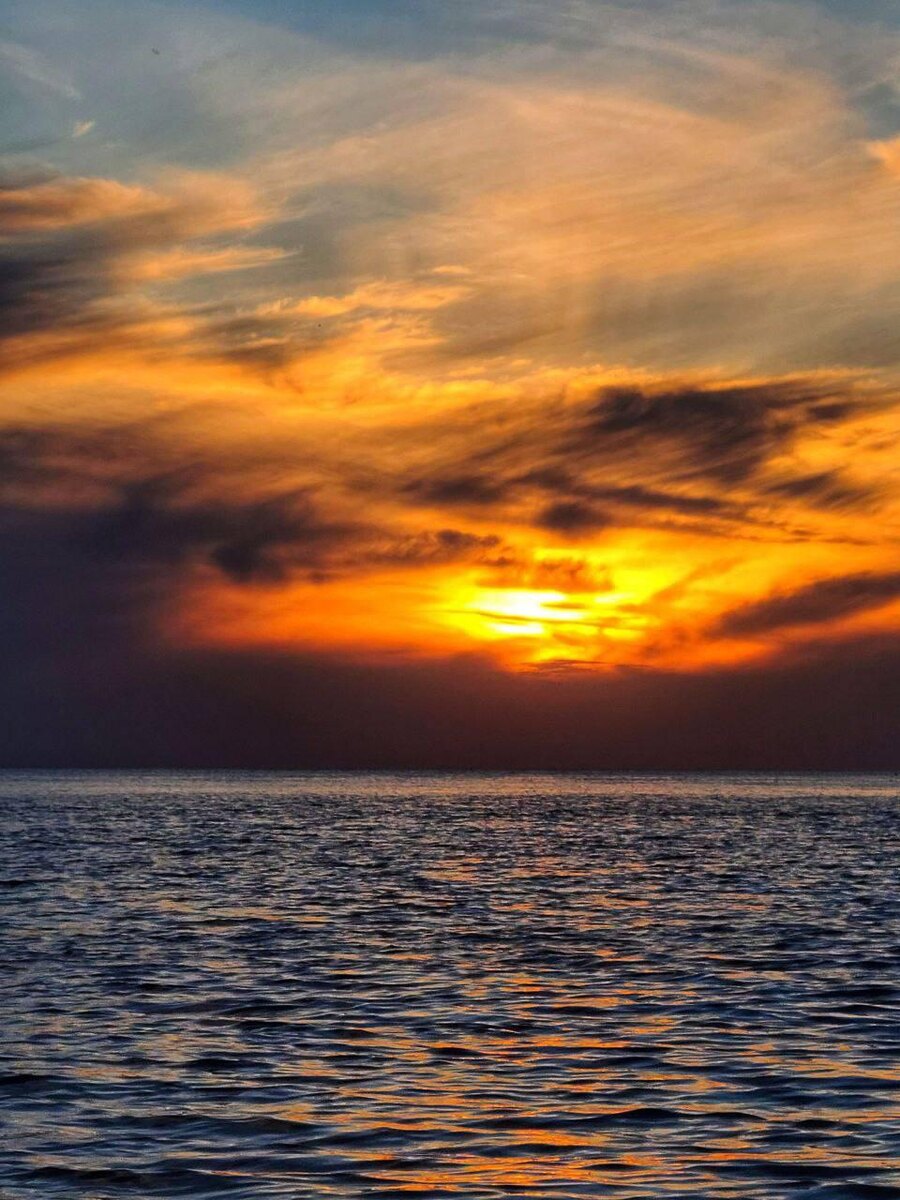 Фото автора.