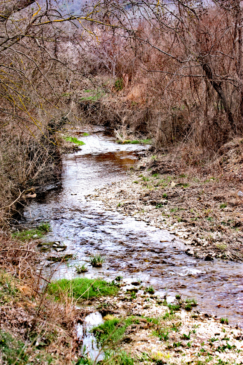 Река Сукко рядом с парковкой перед Кипарисовым озером. Фото автора