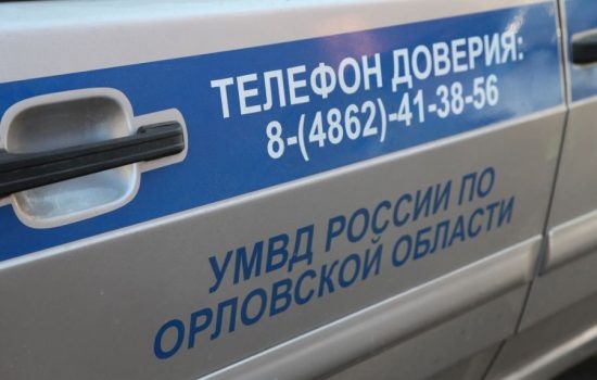    Фото: УМВД России по Орловской области