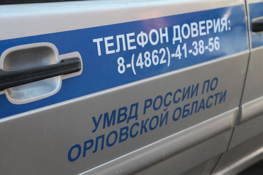    Фото: УМВД России по Орловской области