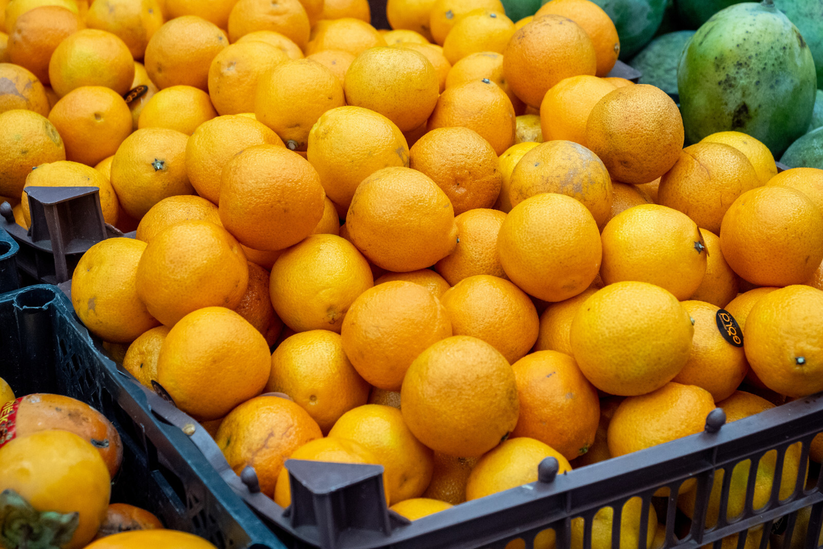 Фото: Олег Золото / «Вечерний Санкт-Петербург»