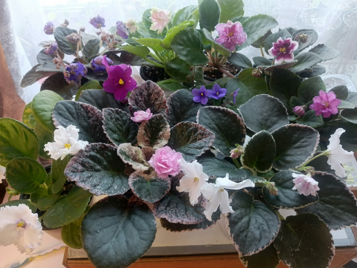 Спасибо мои девочки за вашу красоту!