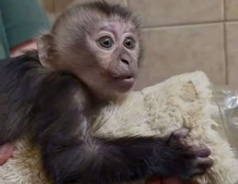     / Источник: Кадр из видео