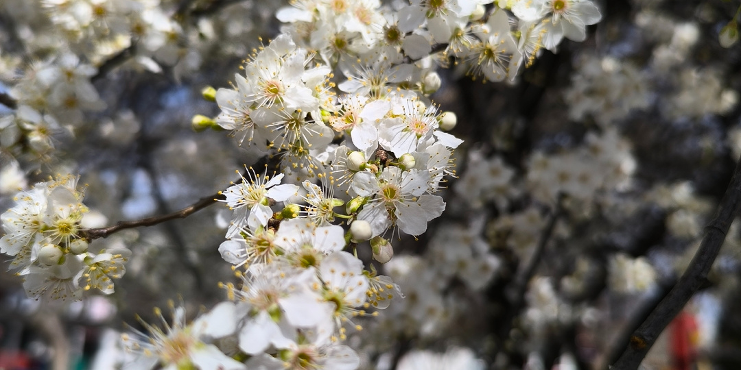 Понедельник. 23.03.26 Много работы.