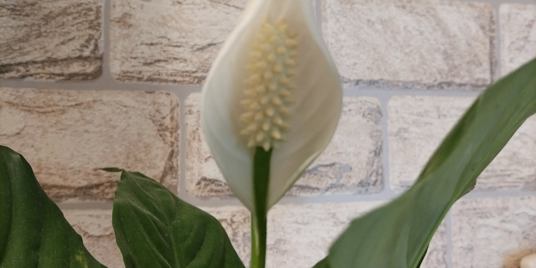 Перед началом нашей рабочей недели 😁