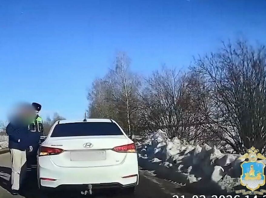 Фото УМВД России по Костромской области.