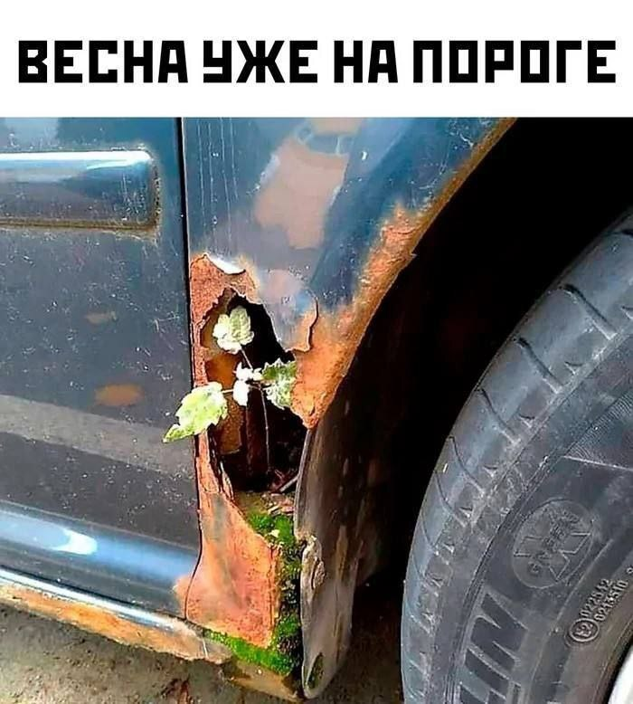 Снимок с reactor