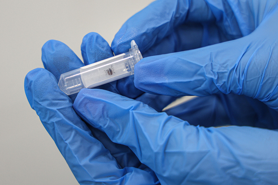    Andrey Titov/Business Online/Global Look Press