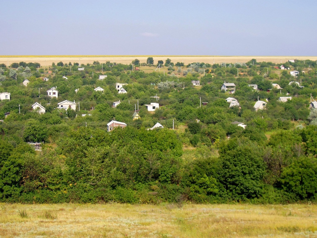 Источник: Andrii Kh / Shutterstock / FOTODOM