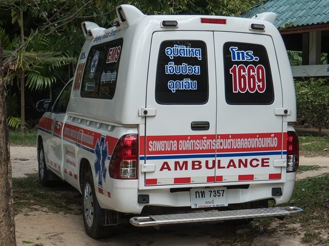    Фото: 123RF.com/leiing