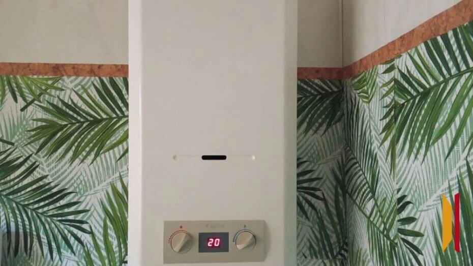    Автор фото: из архива РИА «Воронеж»