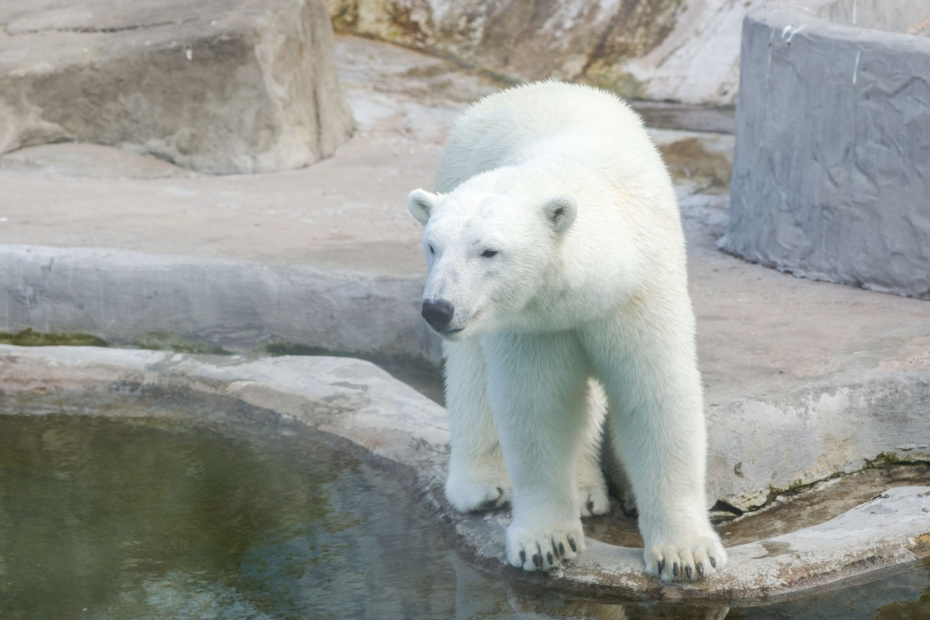    Наталья Шатохина/NEWS.ru