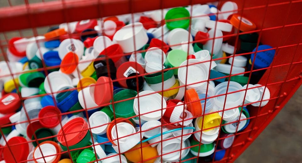    Контейнер для сбора пластиковых крышек в парке культуры и отдыха «Свердловский» поселка Свердловский / Медиасток.рф