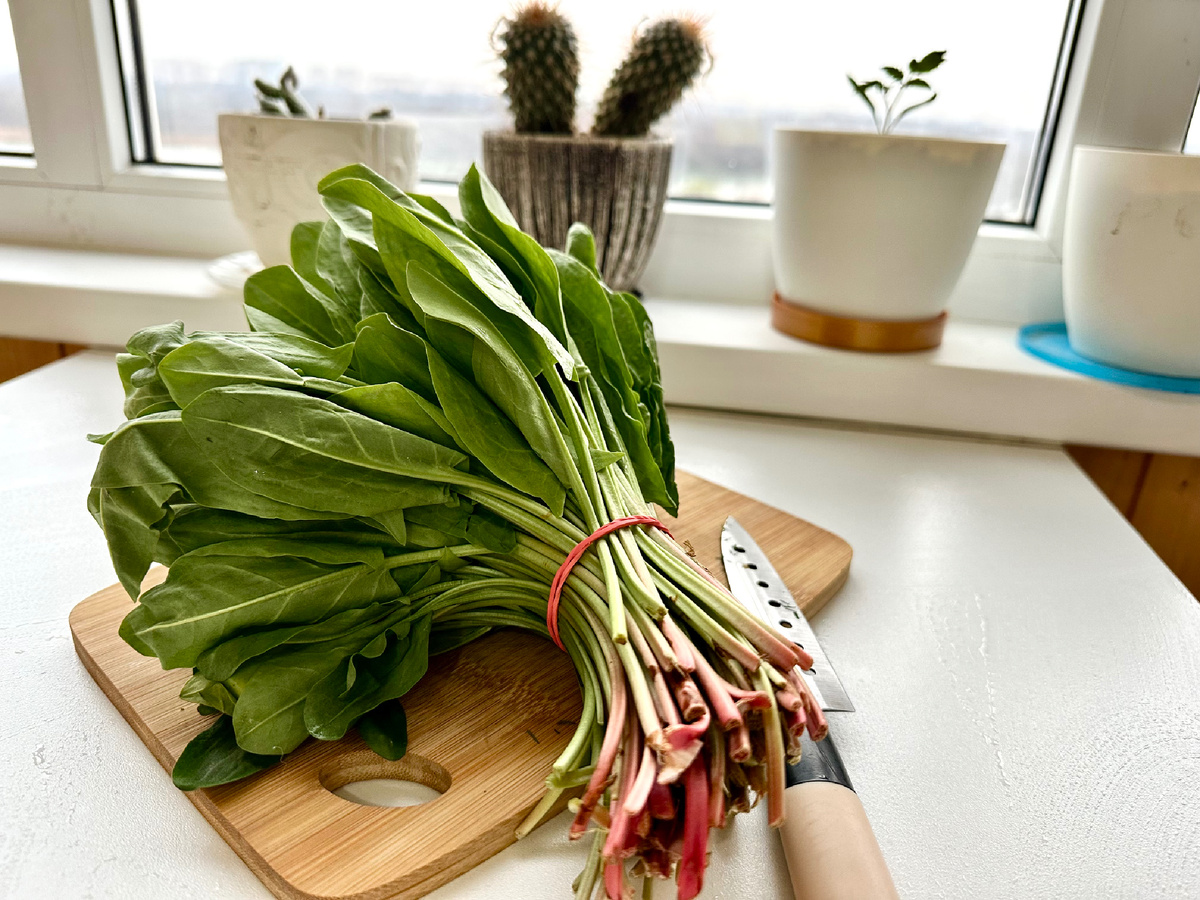 Так выглядит щавель с базара.