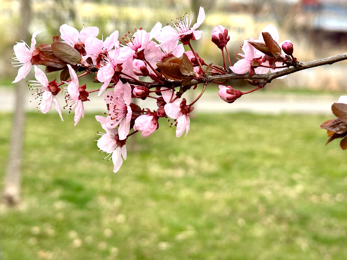 По-весеннему красиво на улице.