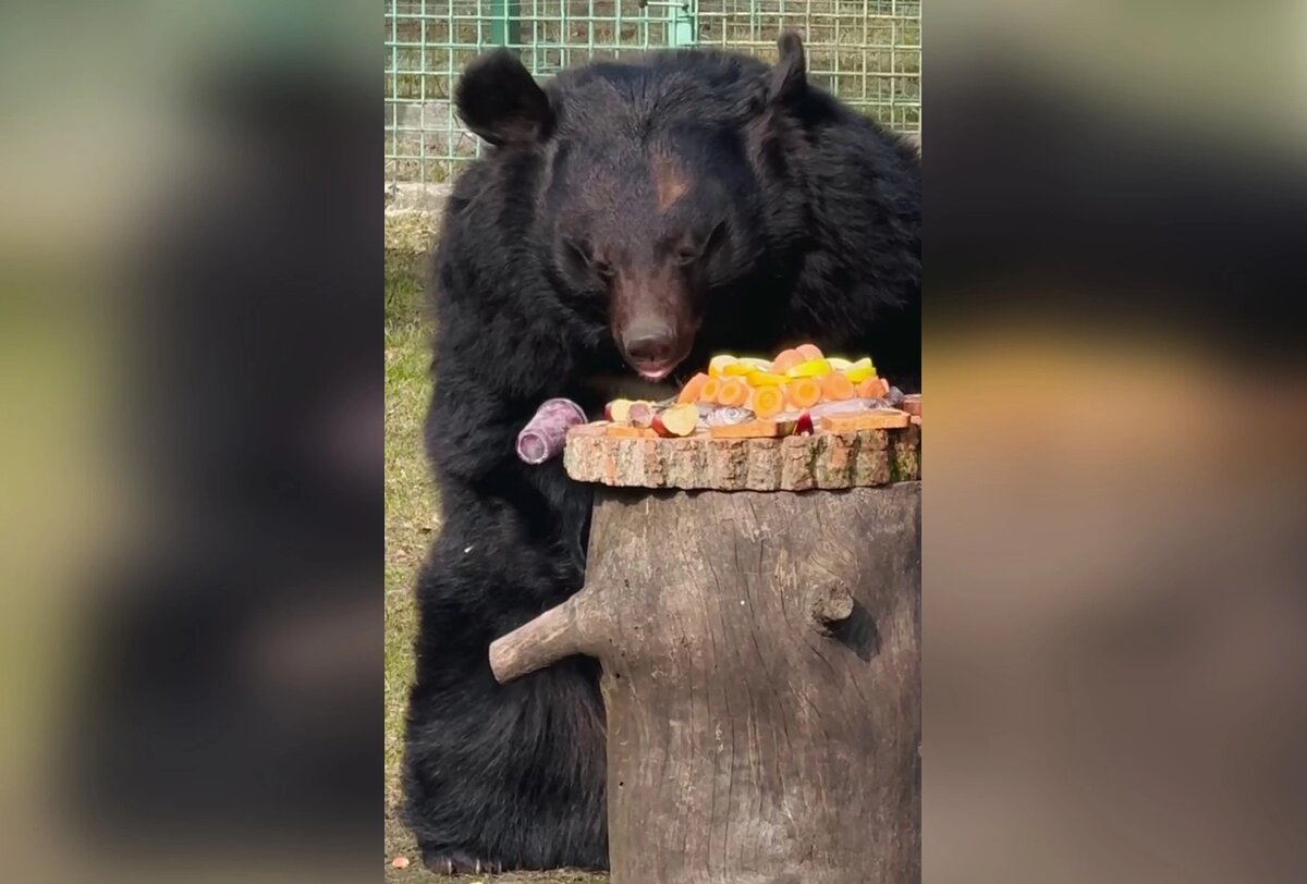    Фото: пресс-служба Белгородского зоопарка