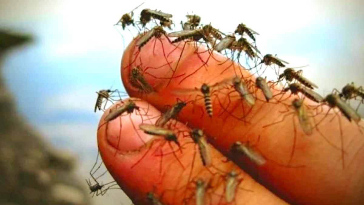 Кормим мы на рыбалке не только рыбу. Комары и мошки, гнус и слепни сильно мешают ловле