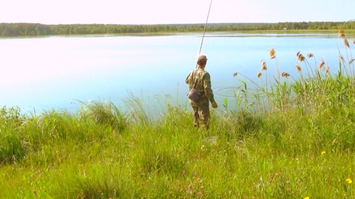 После нанесения средства от комаров и мошек, можно спокойно продолжать ловлю