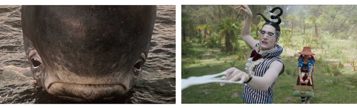     кит Лабун | Мистер 3