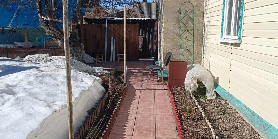 Первая прогулка и продолжение восстановления 😊