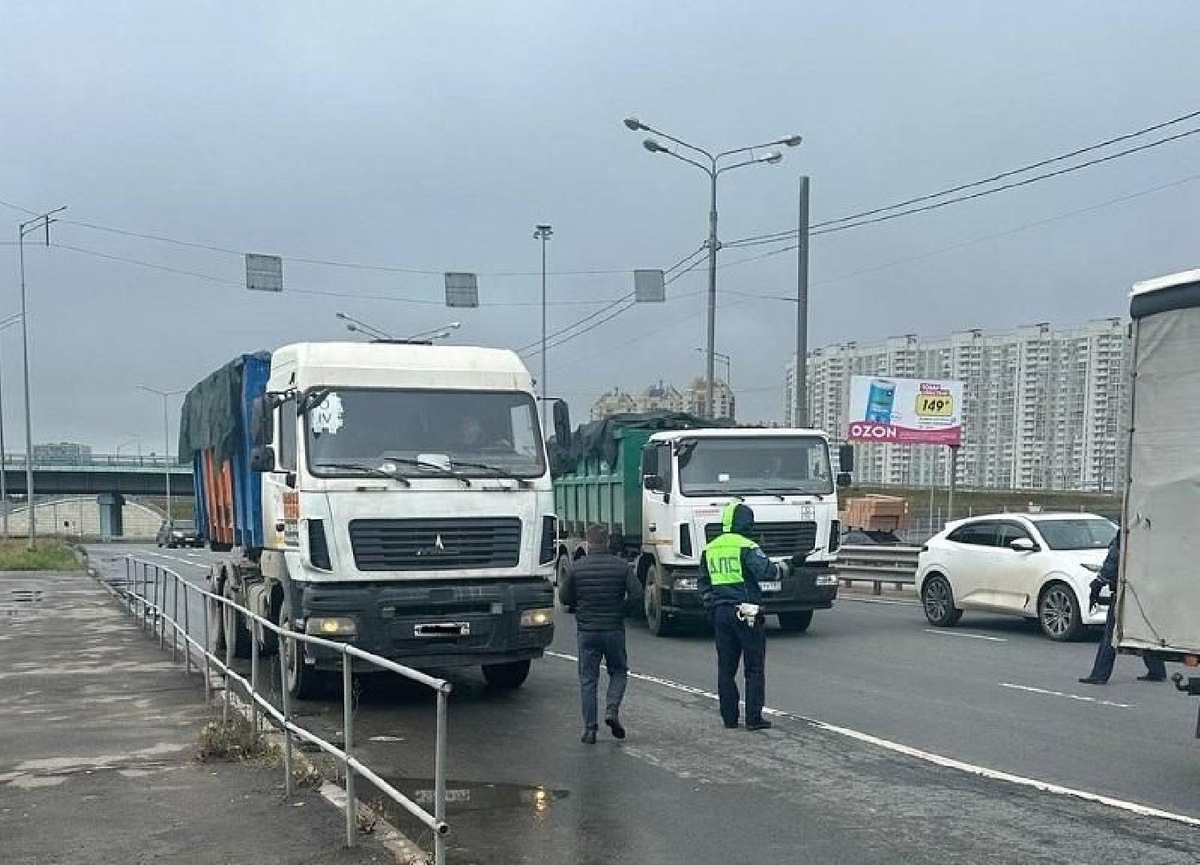    Фото: пресс-служба Минэкологии МО