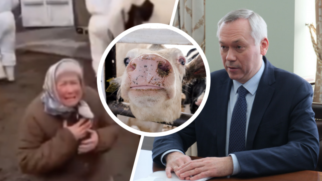 Фото: соцсети / andreytravnikov.ru/  Elena Mayorova/globallookpress.com