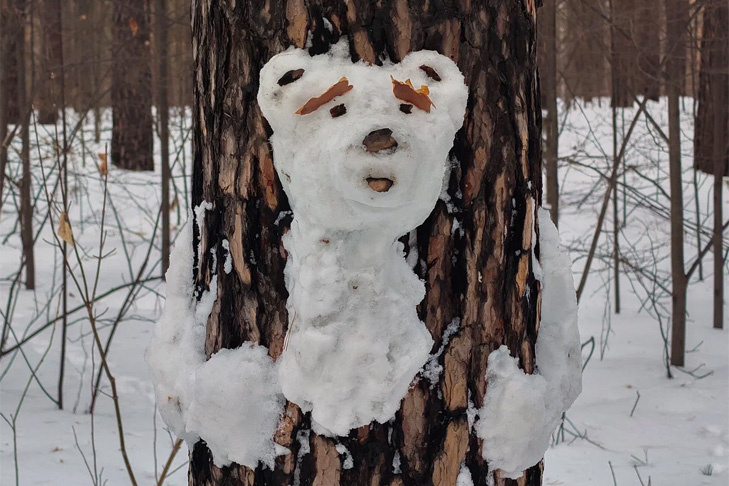    Фото Андрея Заржецкого