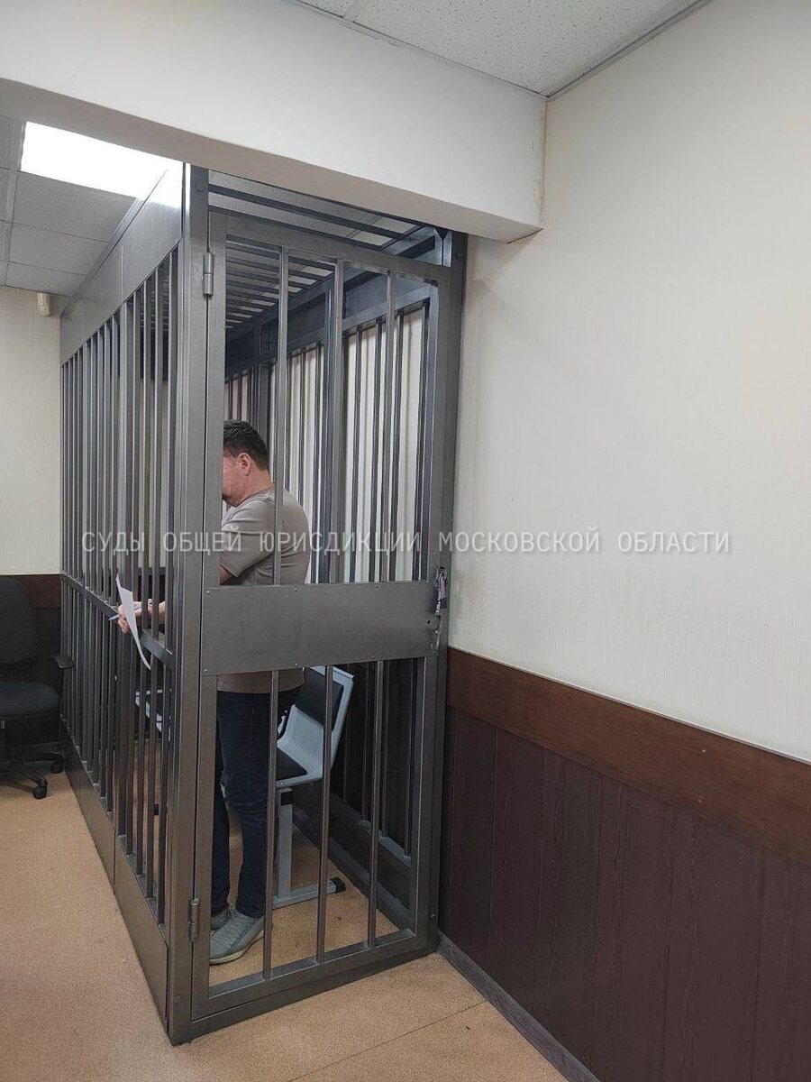    В Подмосковье директор УК отправлен под домашний арест по делу о гибели пенсионерки из-за рухнувшего снега