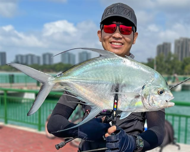 Колючая кавалла (Atropus armatus) или Longfin trevally
