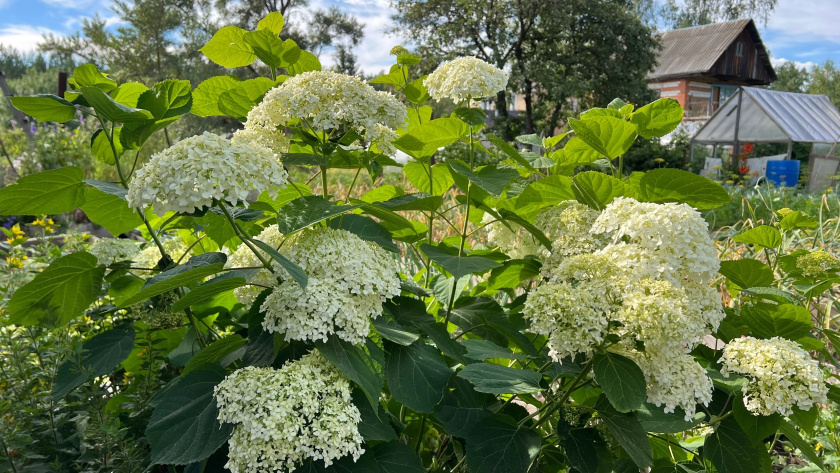    Фото: ПроГород