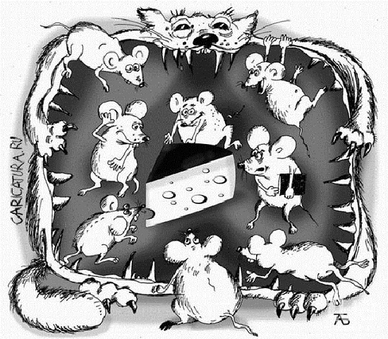 - "Мышиная возня", а всё из-за жадности неуёмной