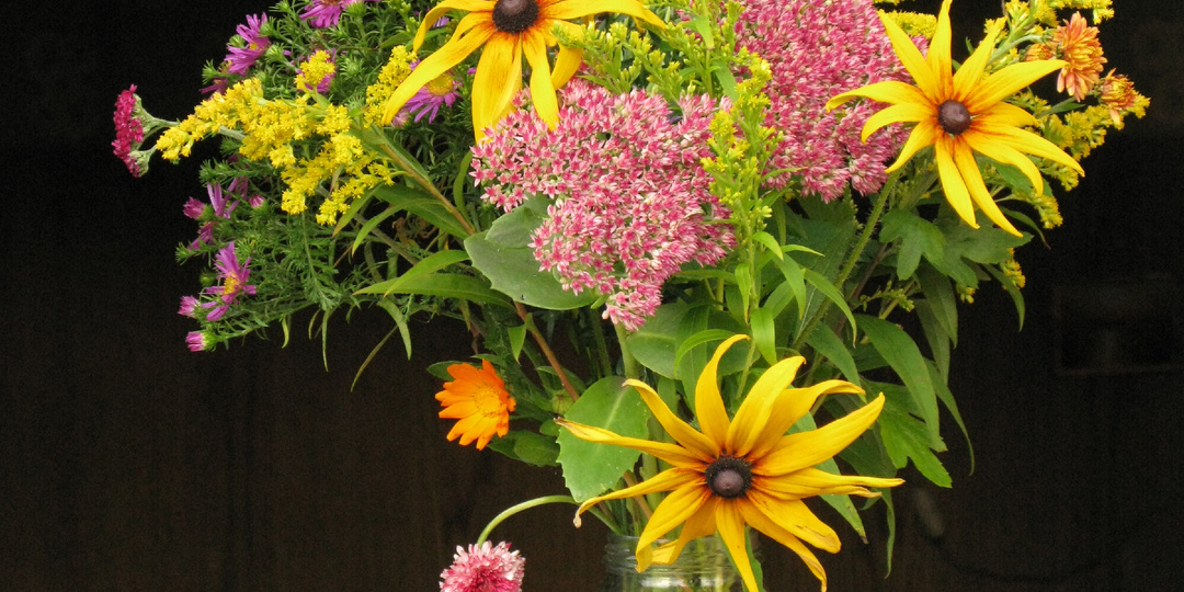 Опять ко мне летит Пегас...