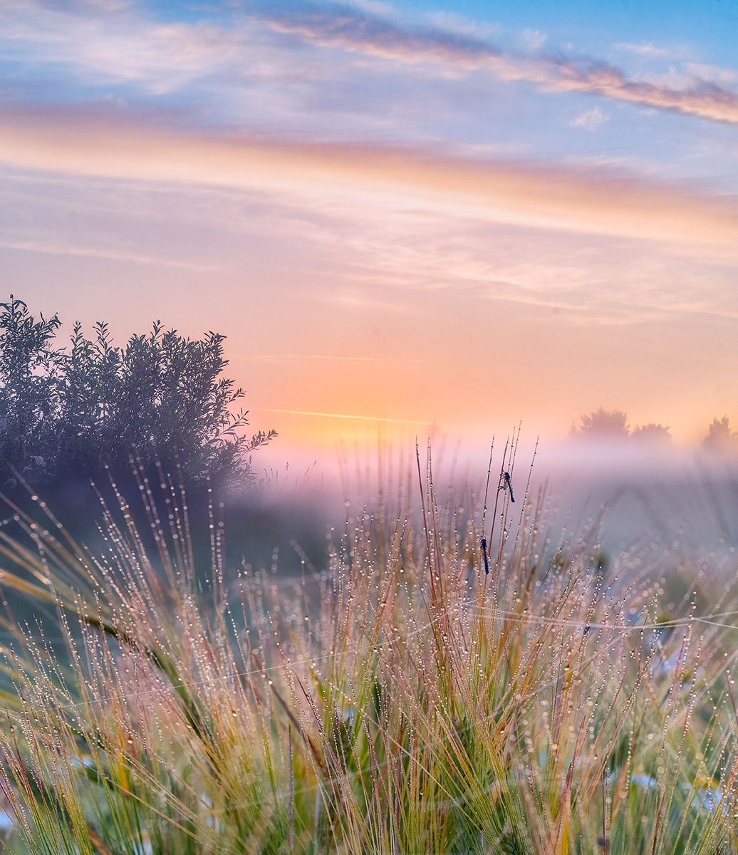 Фото Елены БЕЛОЗОРОВОЙ.