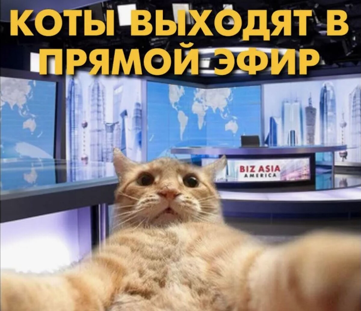 источник Яндекс-картинки