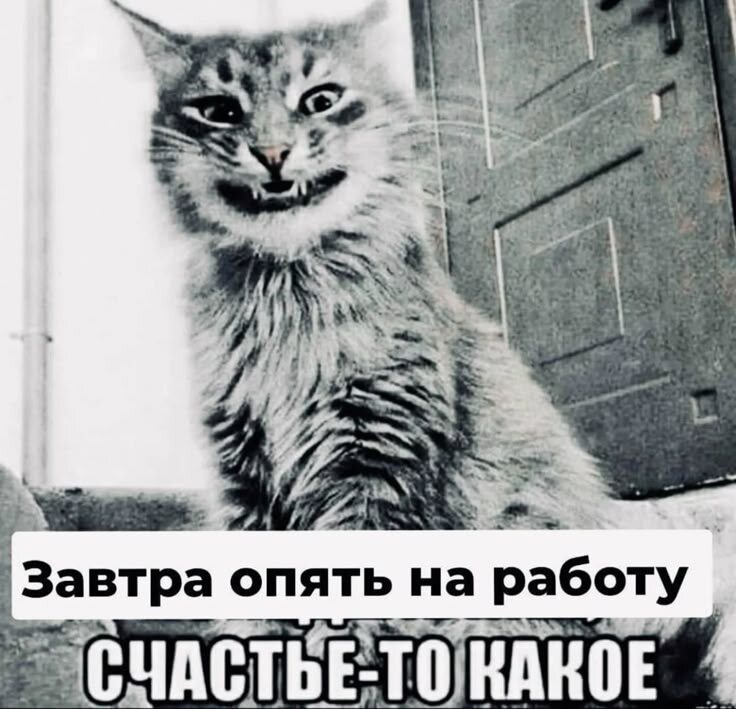 источник Яндекс-картинки