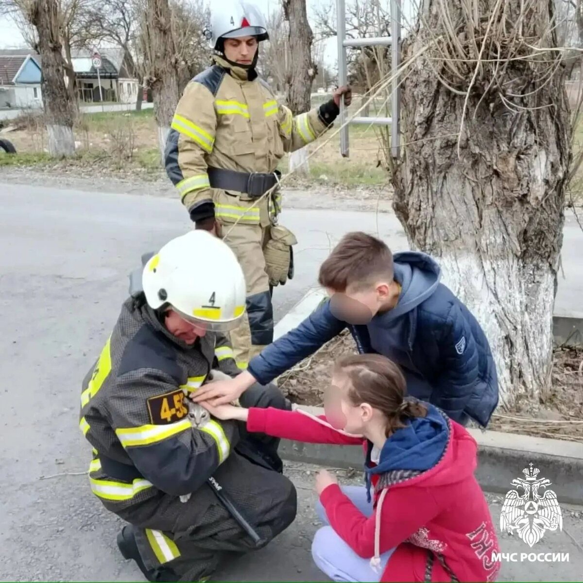    Фото: МЧС России