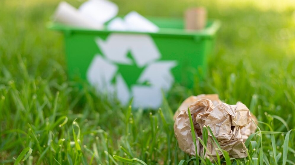    фото: freepik.com / freepik.com