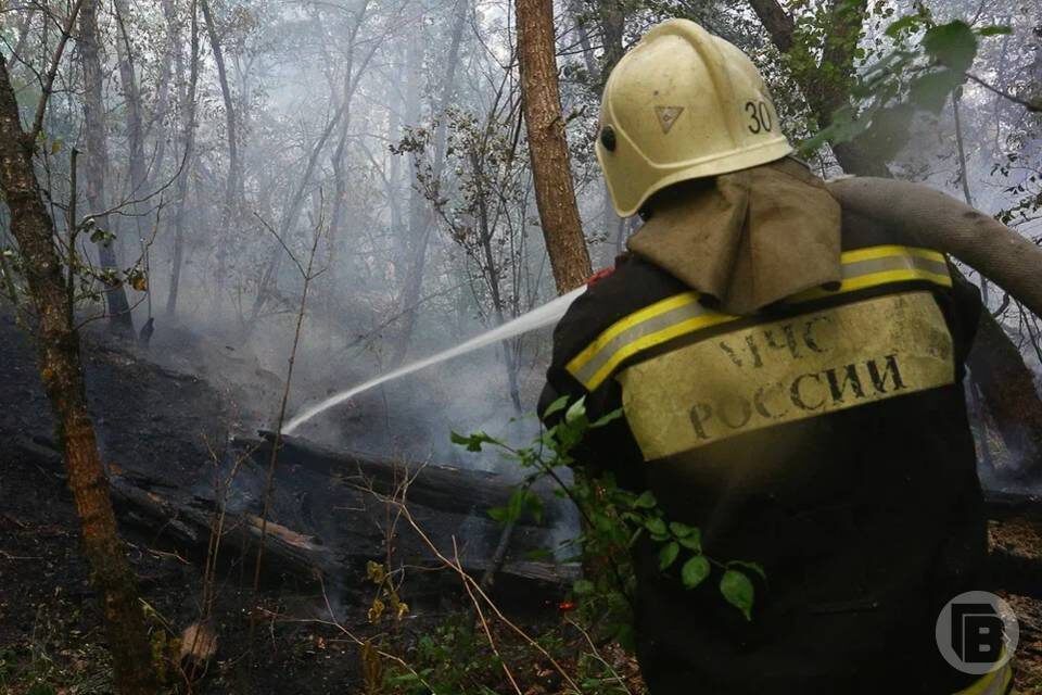   Фото: Дмитрий Рогулин / "Городские вести"