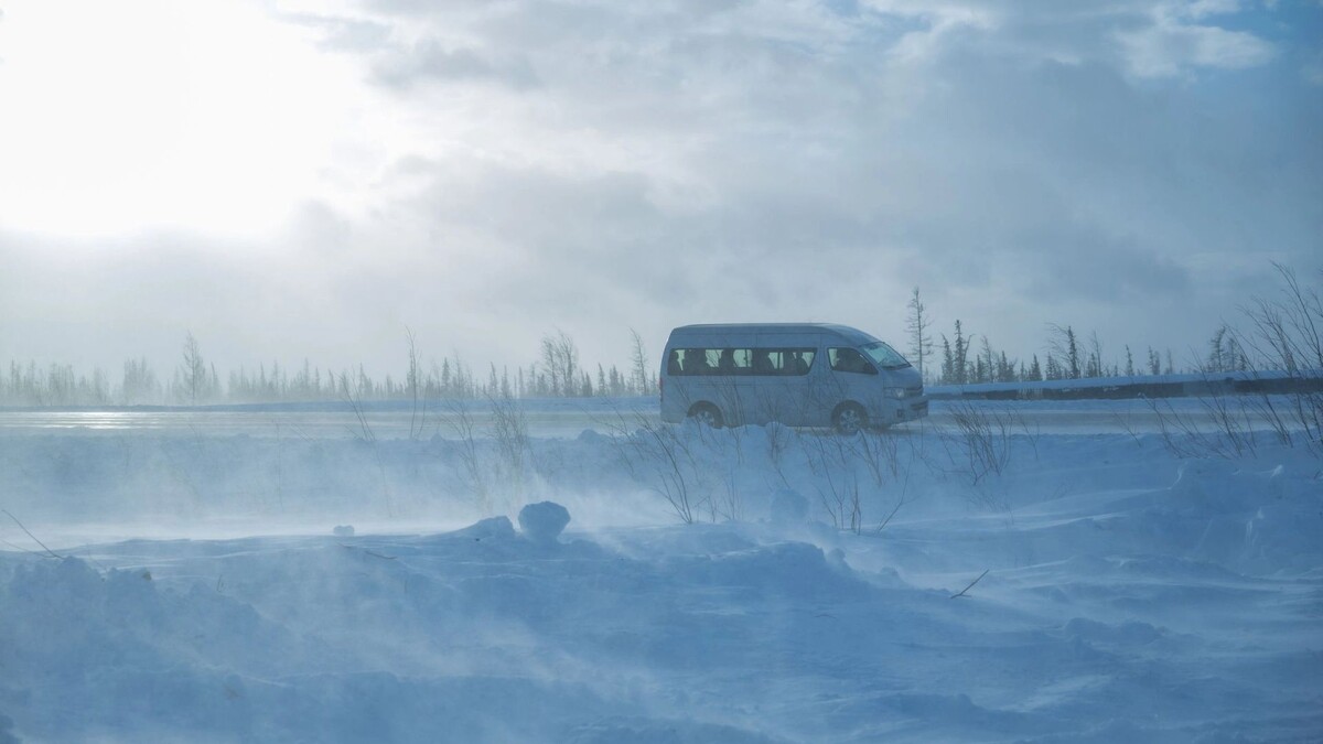    Фото: Федор Воронов/«Ямал-Медиа»